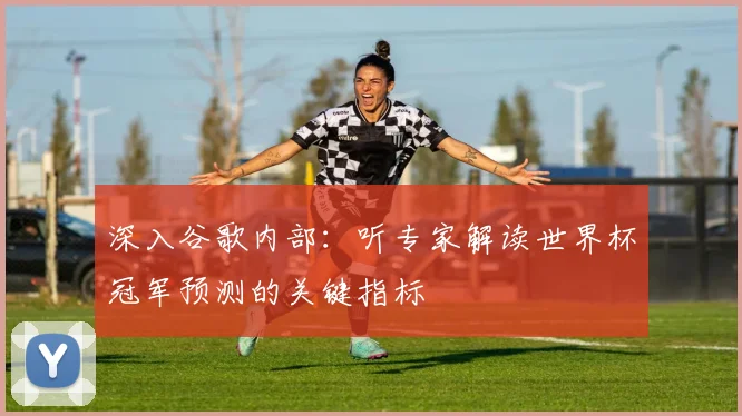 深入谷歌内部:听专家解读世界杯冠军预测的关键指标