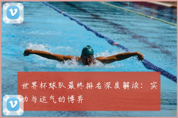 世界杯球队最终排名深度解读:实力与运气的博弈