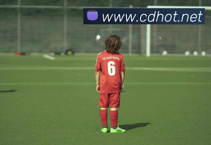 数据防护可视化